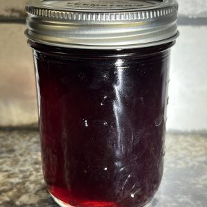 Blackberry Jelly (8oz)